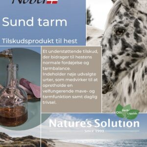 Nobel Sund Tarm
